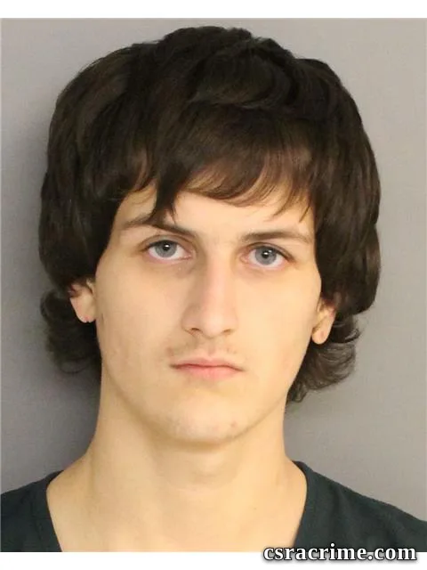 Alex Robinson booking photo