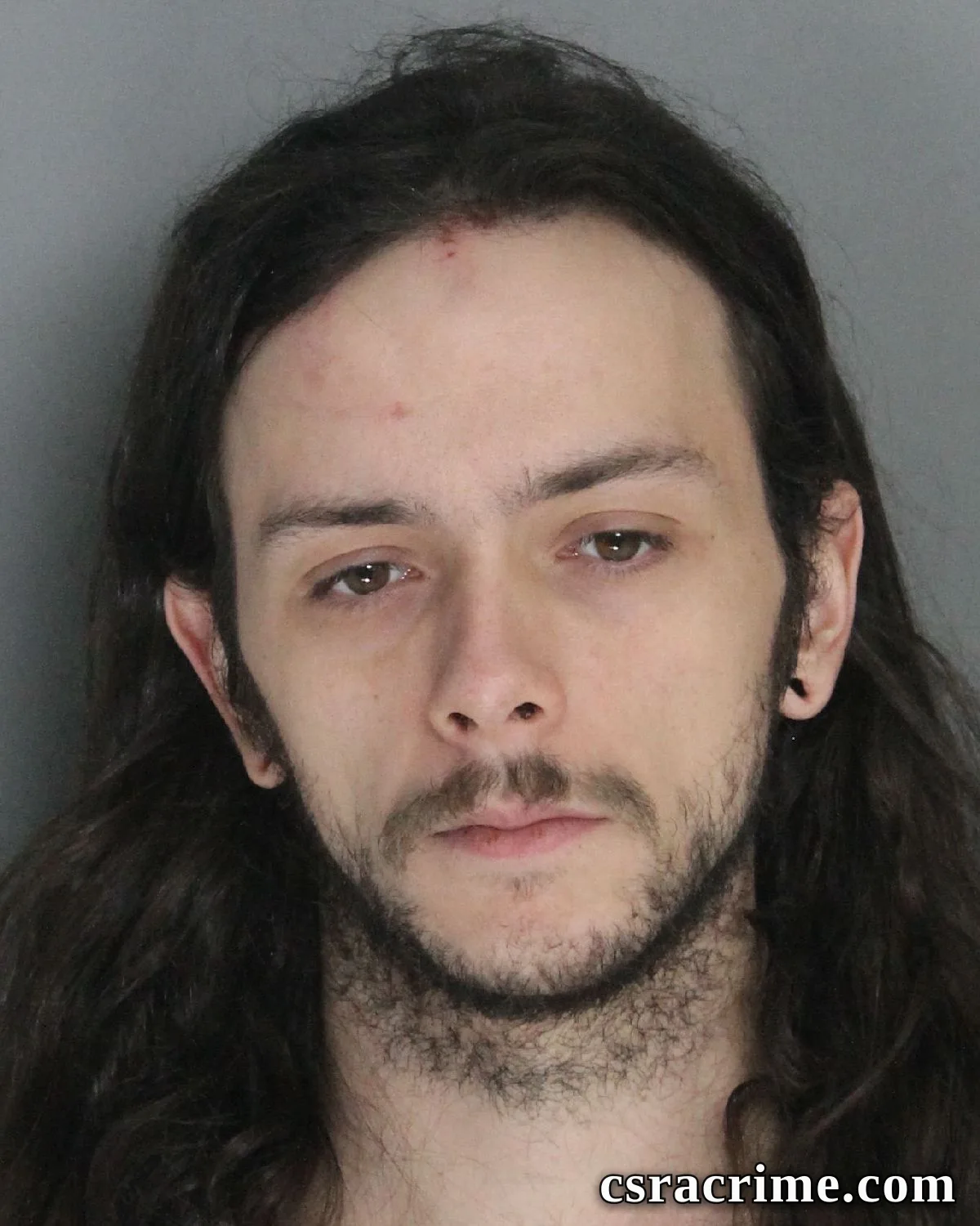 Alexander Boone booking photo
