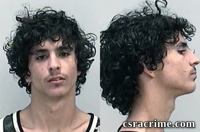 Alexander Fields booking photo