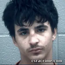 Alexander Fields booking photo