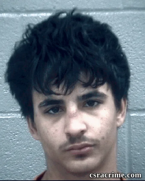 Alexander Fields booking photo