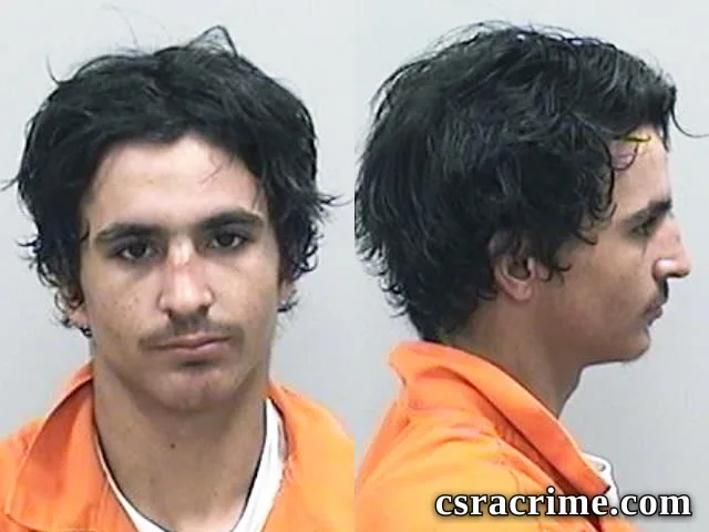 Alexander Fields booking photo