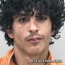 Alexander Fields booking photo
