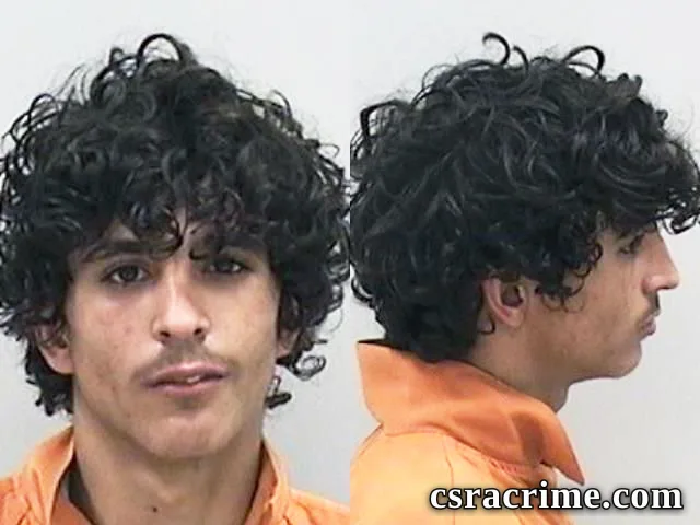Alexander Fields booking photo