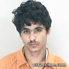 Alexander Fields booking photo