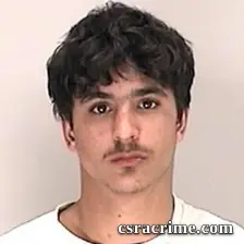 Alexander Fields booking photo