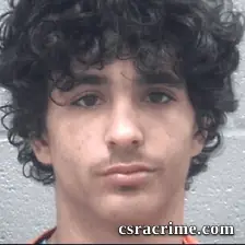 Alexander Fields booking photo