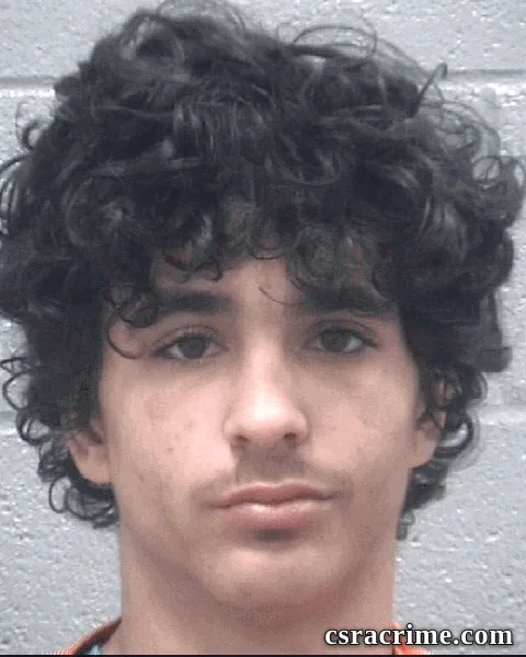 Alexander Fields booking photo