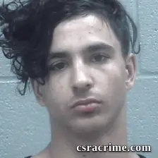 Alexander Fields booking photo
