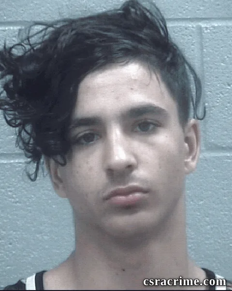 Alexander Fields booking photo