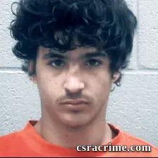 Alexander Fields booking photo