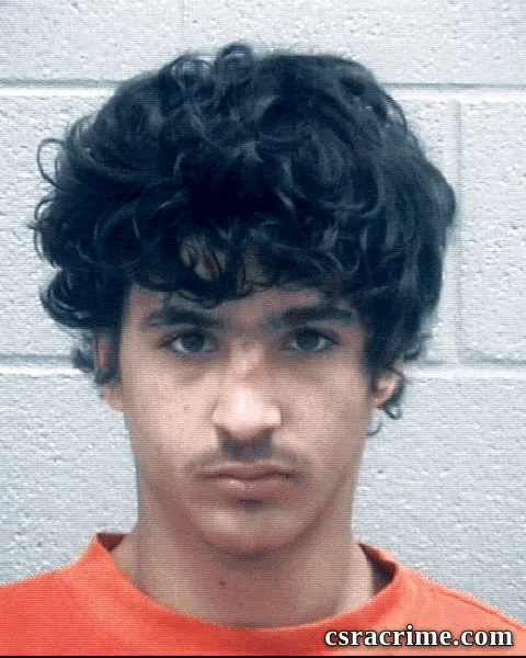 Alexander Fields booking photo