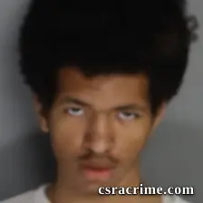 Alexander Lewis booking photo