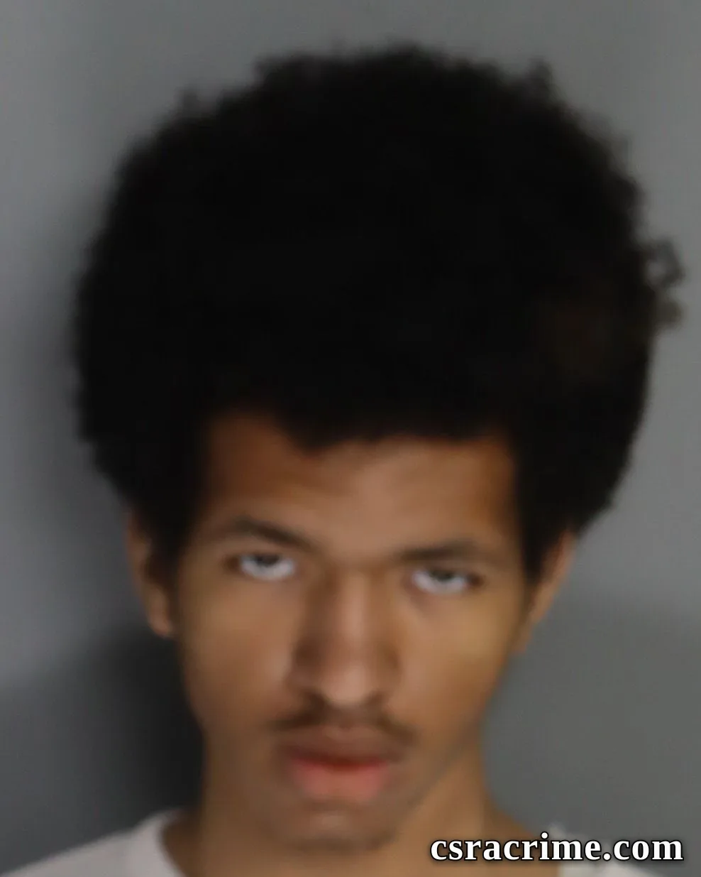 Alexander Lewis booking photo