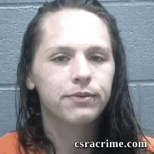 Alexandra Hansen booking photo