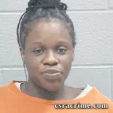 Alexandria Burnett booking photo
