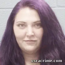 Alexis Hollands booking photo