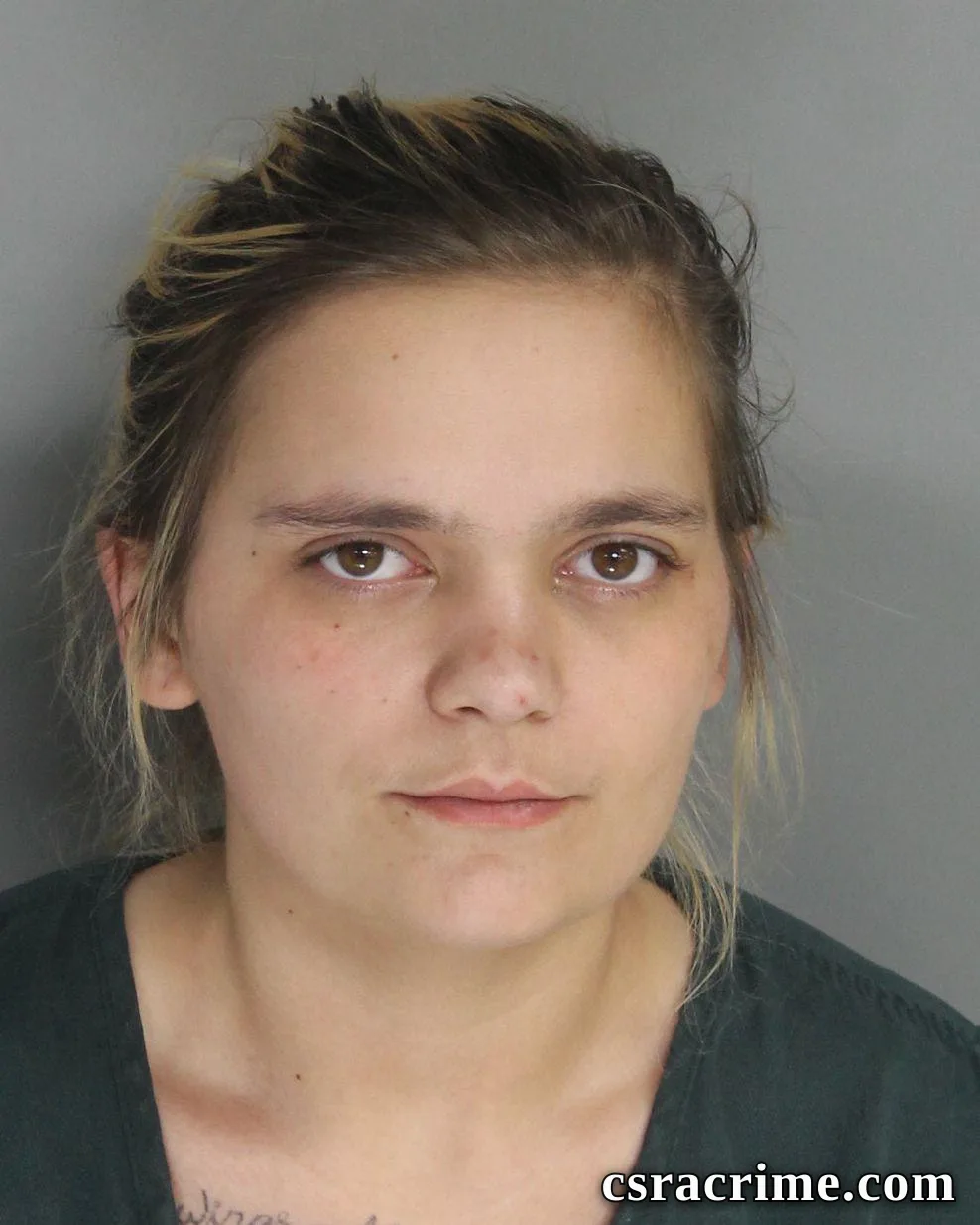 Alexzandra Howell booking photo