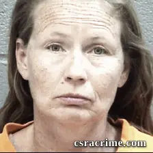 Alicia Davidson booking photo