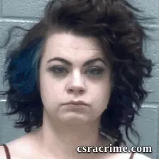Alicia Hamilton booking photo