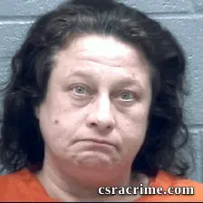 Alicia Mears booking photo