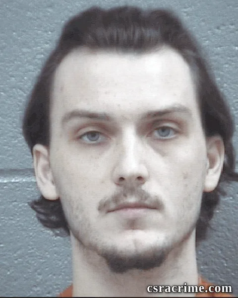 Alin Beca booking photo