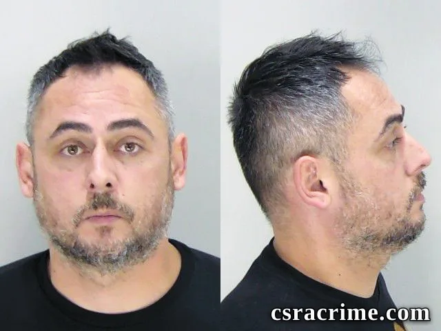 Alin Gavris booking photo