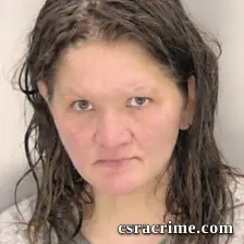 Alina Ciortan booking photo