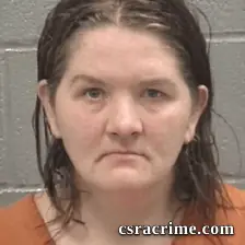 Alina Ciortan booking photo