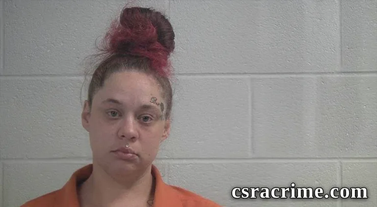Alishia Lynn Visser booking photo
