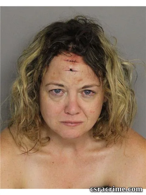 Alison Smith booking photo