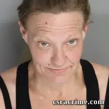 Alissa Brown booking photo