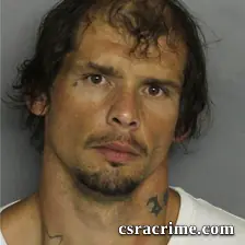 Alister Wingard booking photo