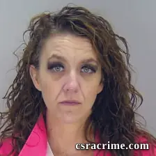 Allison Cook booking photo