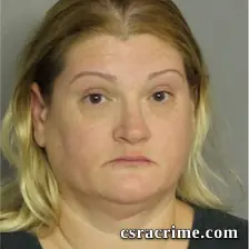 Allison Godwin booking photo