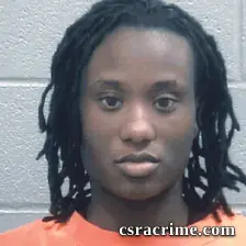 Allison Lawrence booking photo