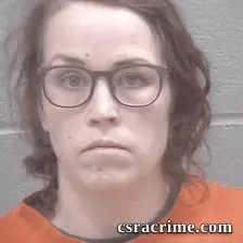 Allison Reed booking photo