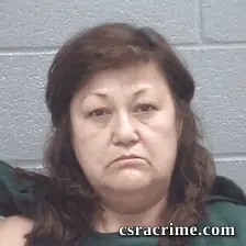 Allison Walters booking photo