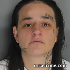 Allysa Sablick booking photo