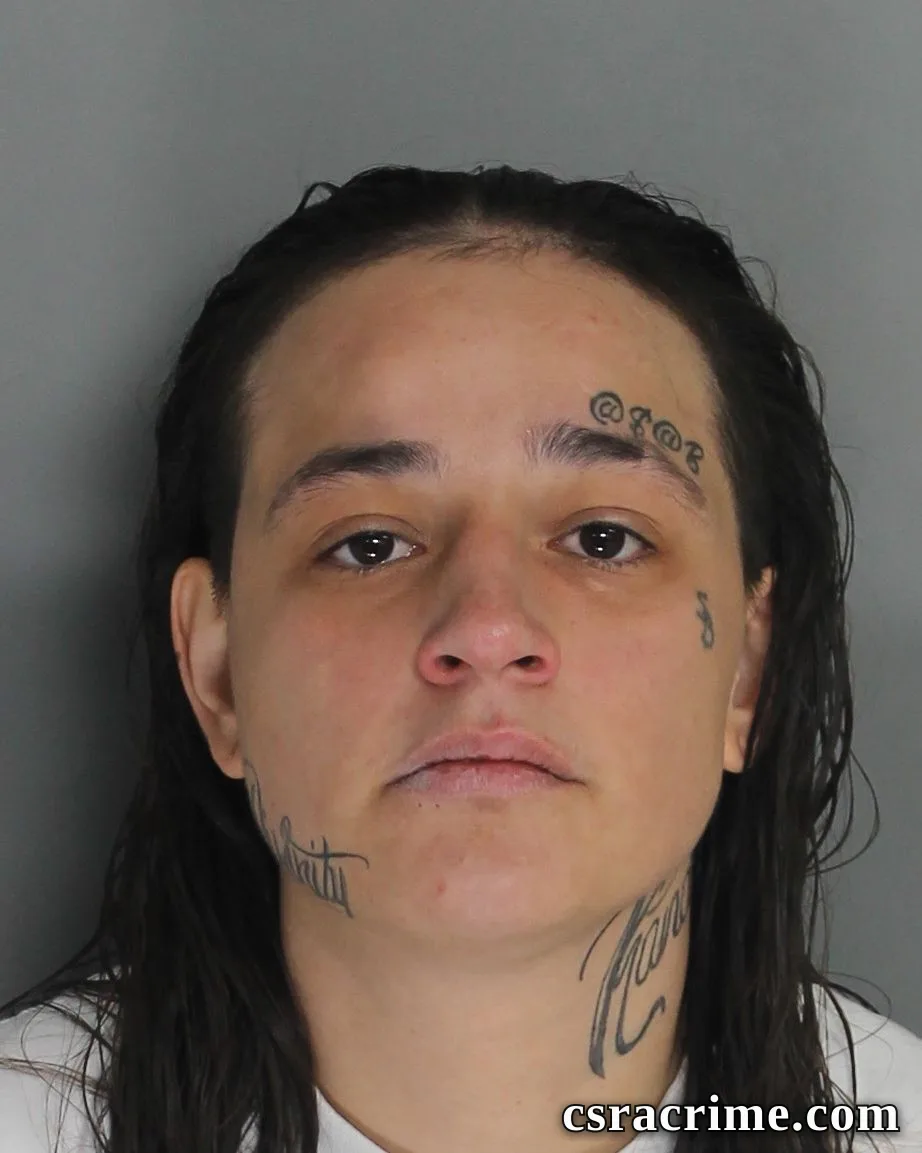 Allysa Sablick booking photo
