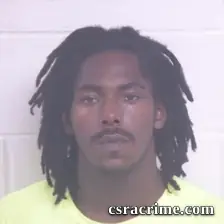Alsean Davitrius Danford booking photo