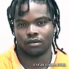 Alton Fallen JR booking photo
