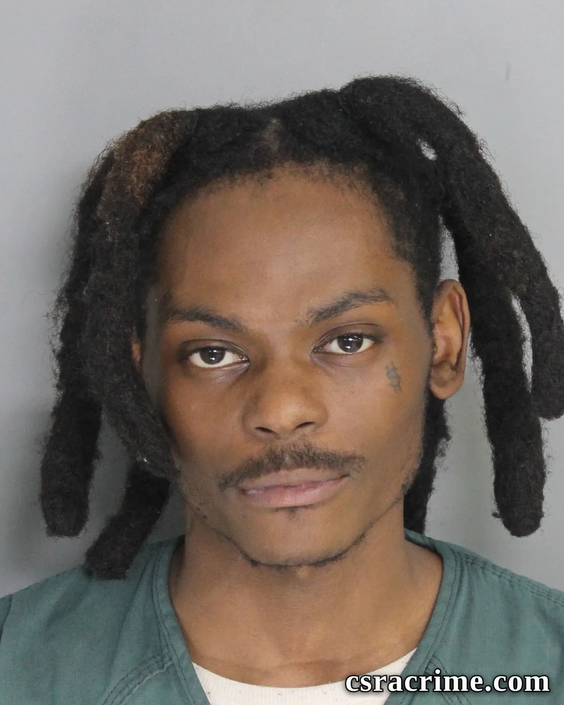 Alvin Artis IV booking photo