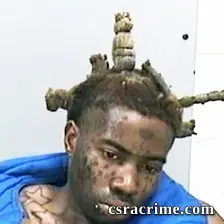 Alvin Hester JR booking photo