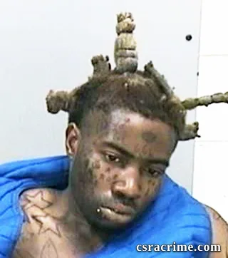 Alvin Hester JR booking photo