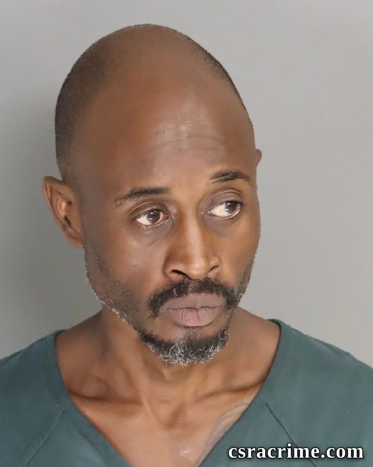 Alvin Johnson booking photo