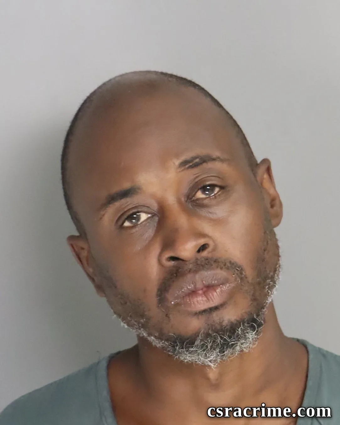 Alvin Johnson booking photo