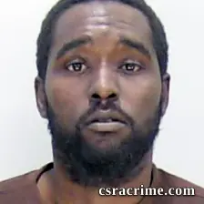 Alvin Palmer JR booking photo