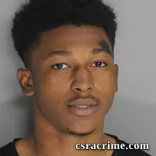 Alvin Williams JR booking photo