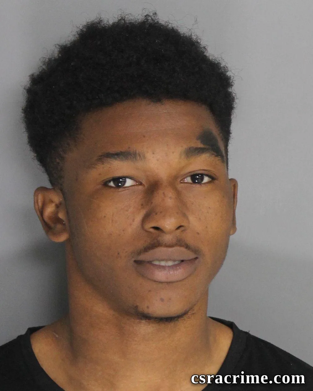 Alvin Williams JR booking photo